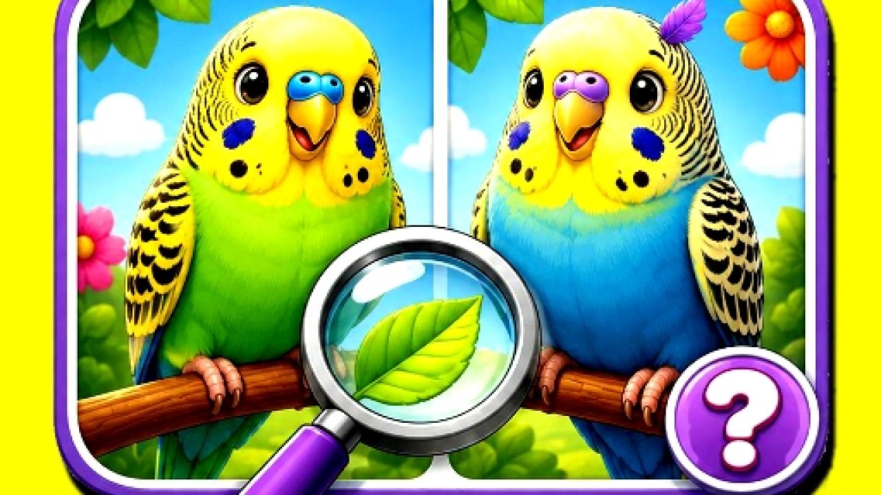 Budgie Spot the Difference