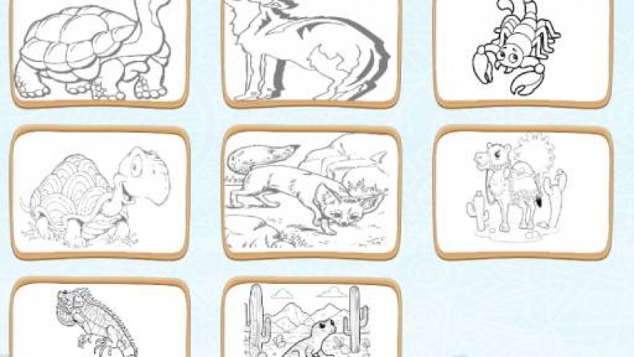 Desert Animals Coloring Book gameplay screenshot