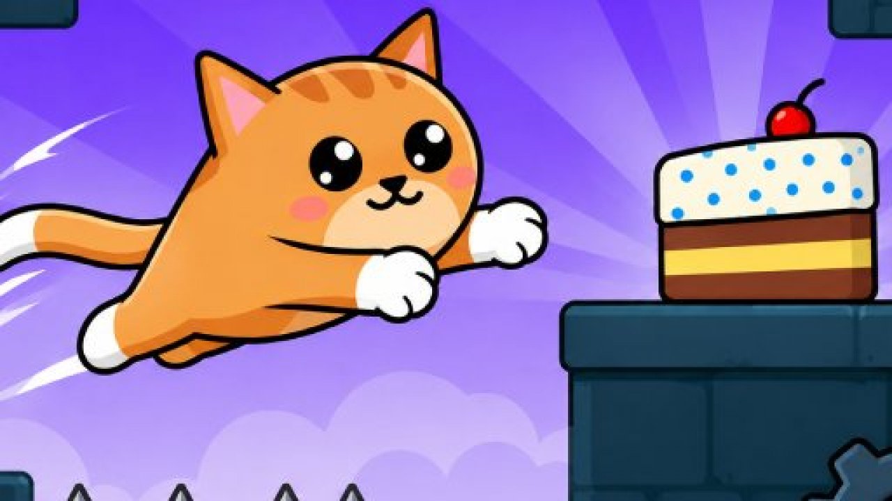 I Am Cake No Cats