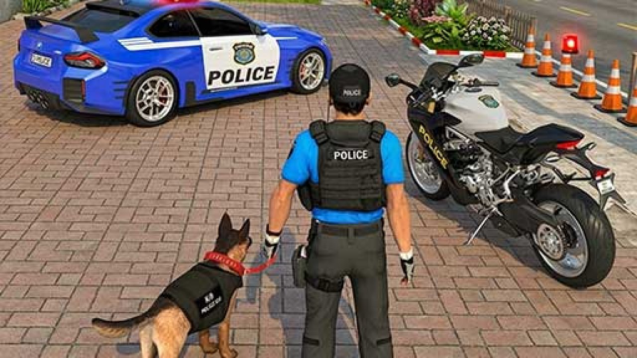Police Car Chace